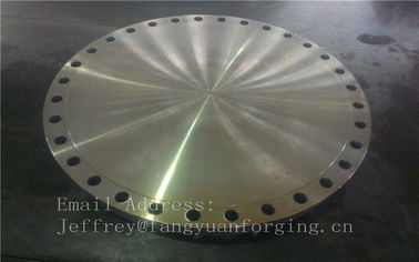 High Pressure Stainless Steel Plate Flange / Blind Plate OD 5000mm supplier